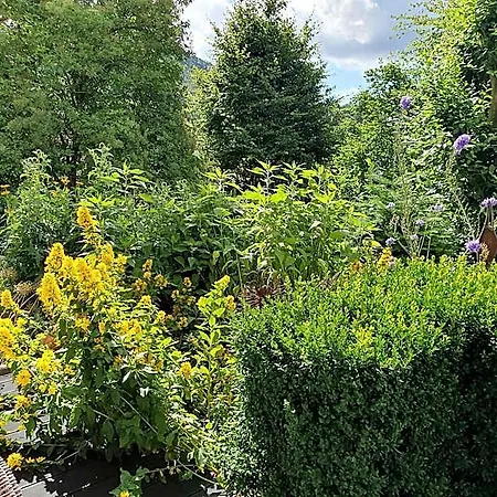 Terrace Retreat In 4* Winterberg